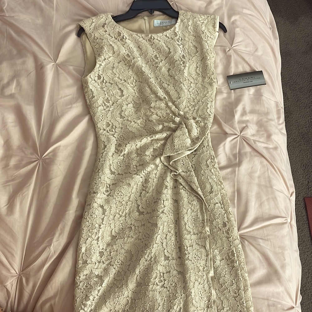 Champagne Tahari Arthur S. Levine Dress